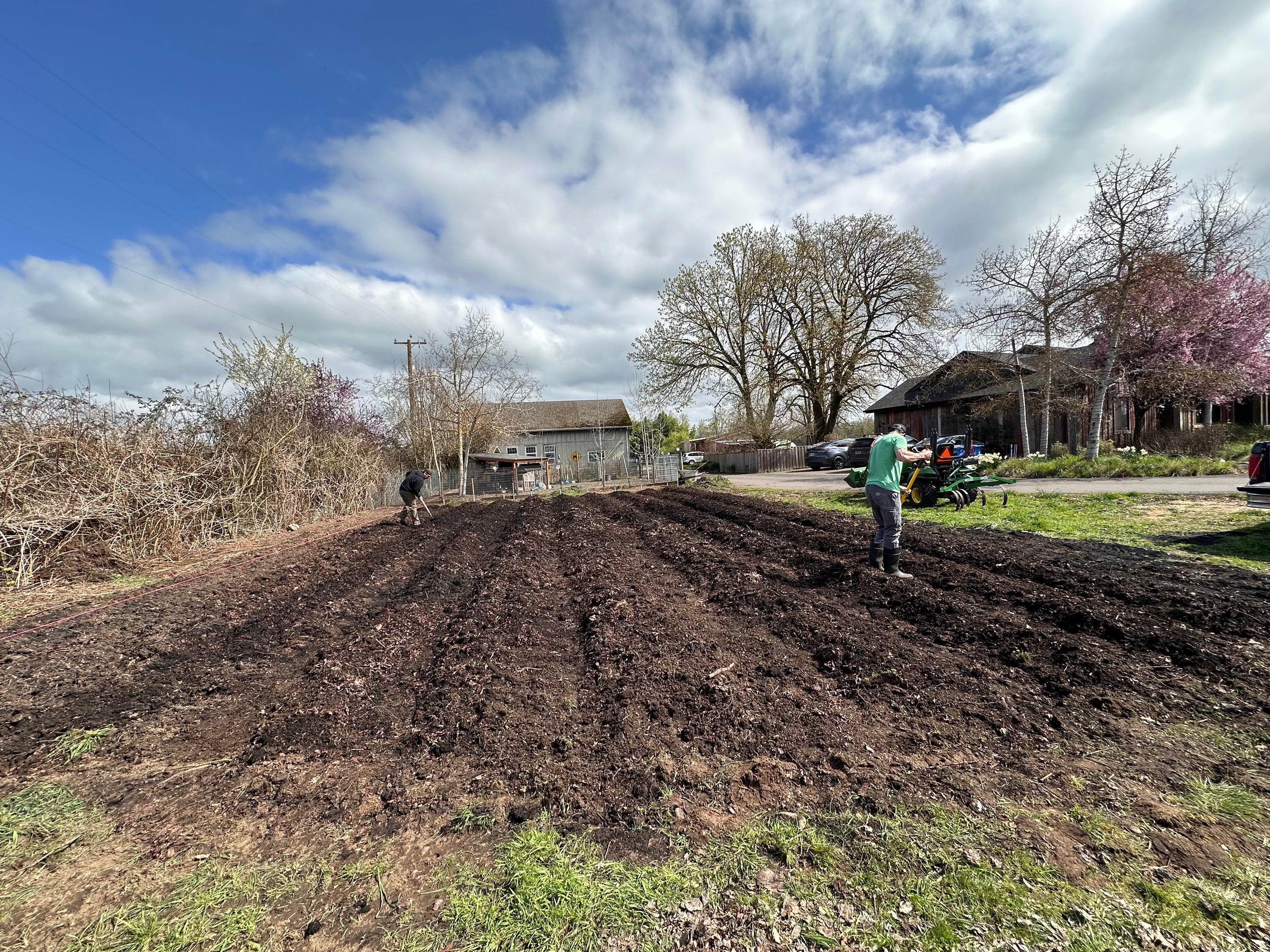 Spring Veggie Garden - Flowerbird